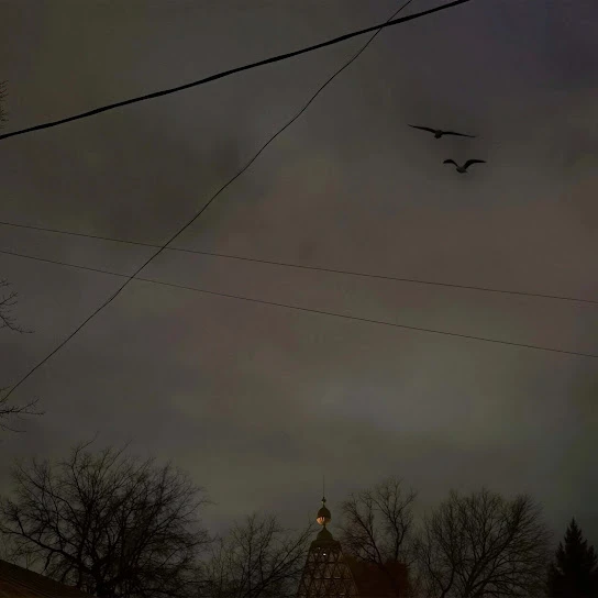 Черные вороны